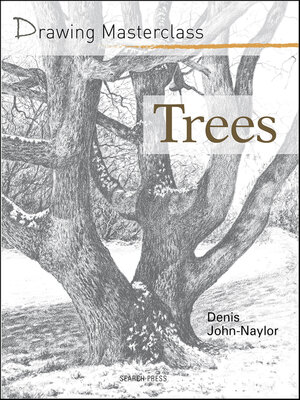 cover image of Drawing Masterclass